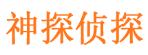 龙安婚外情调查取证